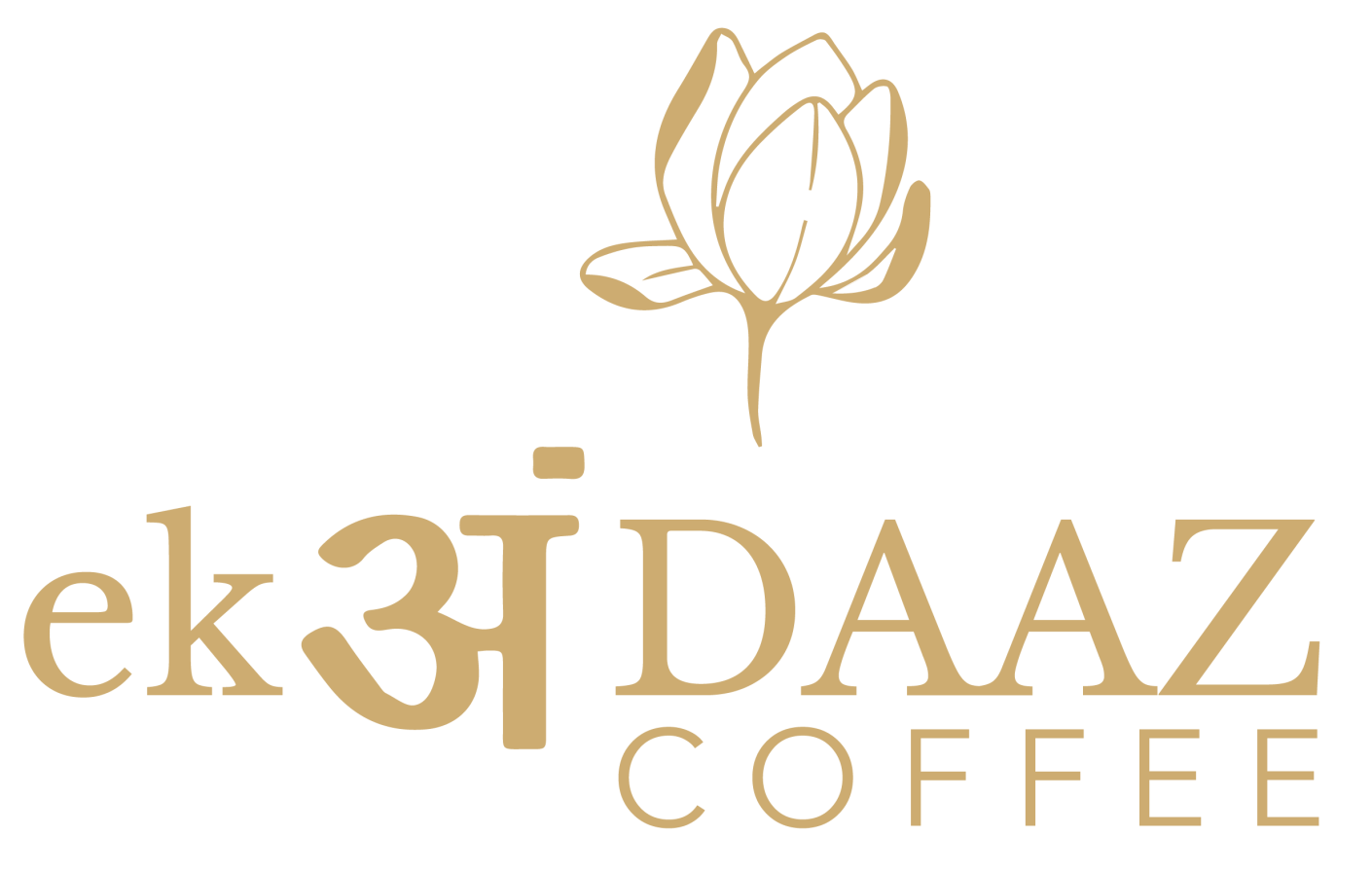 ANdaaz logo file 1@300x (1)